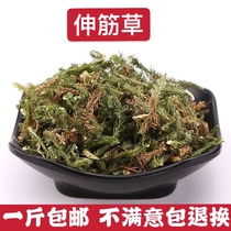 Chinese Herbal medicine Stretch tendon grass Shu tendon grass bone-penetrating grass foot soak Yuanzhi Puzzle Kernel 500g