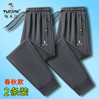 Серый прыжок+серый луч [2 пружина и осенние домашние животные]