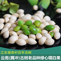 Yunnan specialty fresh ginkgo fruit Ginkgo Village Jiangdong ancient tree waxy fragrant green heart ginkgo non-roasted nuts and dried fruits