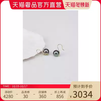 Zhuella 10-11mm Tahiti Black Pearl 18K Gold Elegant Joker Earrings