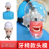 Simulated head mold oral resin tooth granules special tooth model for standard examination of tooth preparation isolated tooth open pulp tooth tooth model