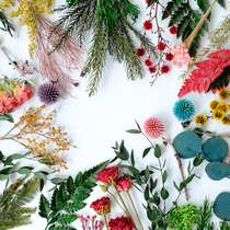 (Eternal life flower material)Penglai Song starry million star DIY flower box invitation envelope fan hand-made material