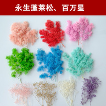Eternal flower material Penglai pine star million star DIY flower box invitation envelope Group fan hand-made material