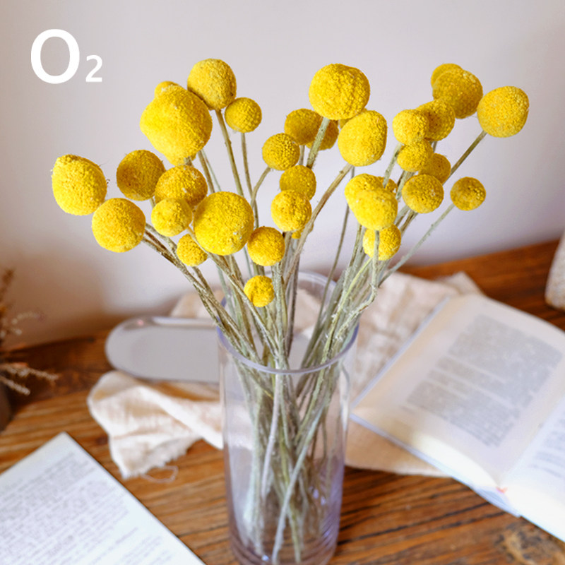 (Golden Balls) Natural Flowers Drying Bouquet Dining Hall Home Furnishing Photographic Props Business Flower Arrangement Material