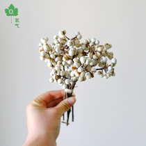 (Small white fruit)DIY hand-made wax brand barley fruit Small red fruit eternal life flower box accessories Christmas decoration flowers