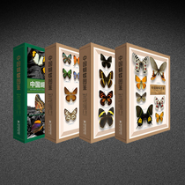 China Butterfly Picture Book Exclusive Genuine Strait Bookstore enthusiasts collection gift specimens