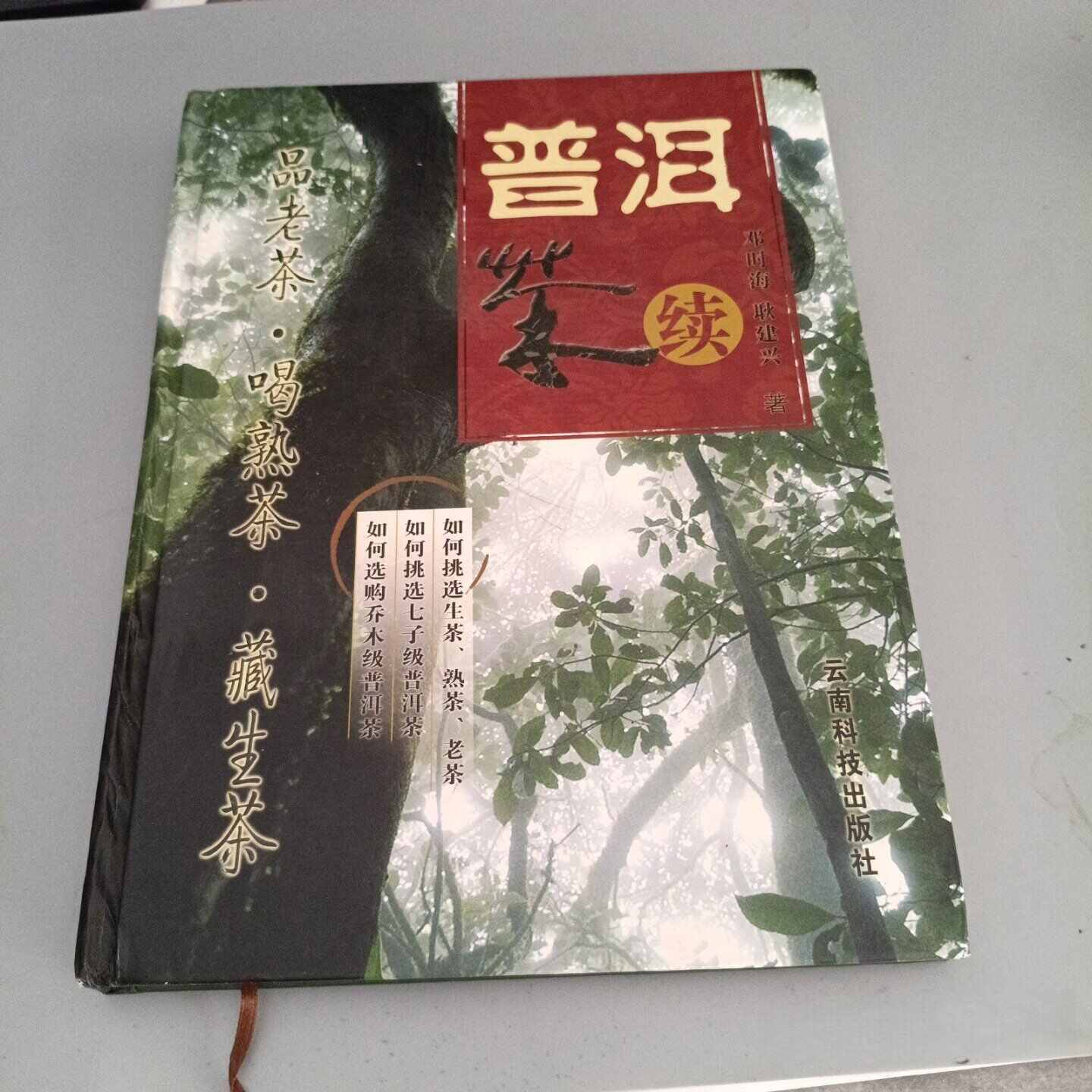鄧時海普洱茶- Top 100件鄧時海普洱茶- 2026年9月更新- 淘寶Taobao｜天