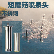 Gqiang Direct Mushroom Nozzle Hemispheres Fountain Nozzle Fish Pool Scenic Area 304 Stainless Steel Horn Fountain