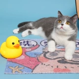 Кошачья песчаная подушка кошачья оборона из кошачьего песчаного кошачьего кошачьего кошачья клетка, схватка ноги, фильтр брызг, туалетная площадка для кошек