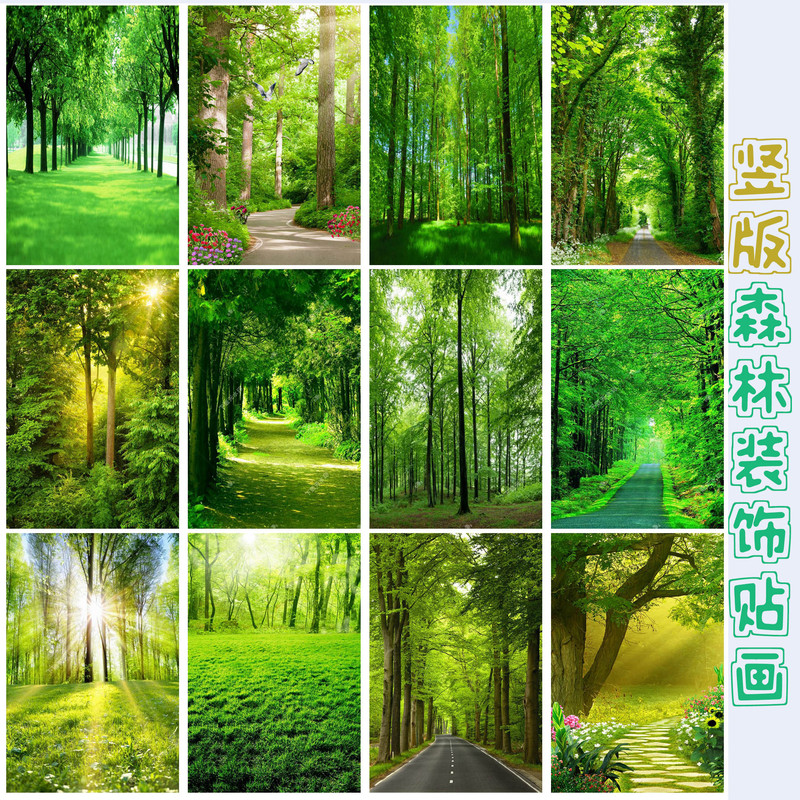 Forest Landscape Painting Stickers Decorative Painting Tree Background Stickers Forest Landscape Poster Study Room Eye Protection Self-Adhesive Stickers