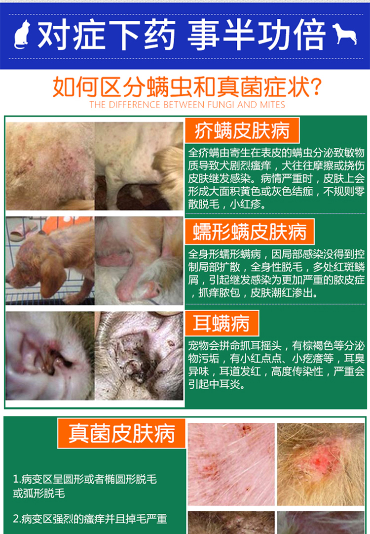 Chó hiện đại 螨 Kang phun chó và mèo mạt rõ ràng / / demodex chó mites vật nuôi da ngoài 螨 Teddy - Cat / Dog Health bổ sung sữa cho chó con mới sinh