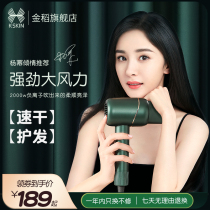 Golden rice negative ion hair dryer high-power quick-drying household hair dryer dormitory students small do not hurt hair
