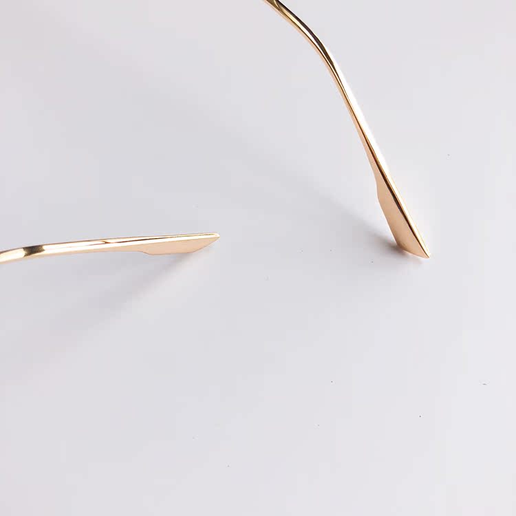 Montures de lunettes en Alliage de nickel - Ref 3139823 Image 20