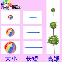 Autism Training language development size height length along how much comparison sort cards