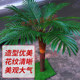 Simulated Coconut Trees, Artificial Trees for Indoor and Outdoor Use, Hotel and Mall Decorations, Realistic Tree Trunks, Coconut Palm Trees, Floor-Standing Plants