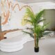 Clothing Store Artificial Plants, Green Plants, Living Room Fake Flower Decorations, Floor-Standing Potted Plants, Fake Money Tree, Indoor Areca Palm Bonsai