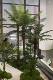 Simulated coconut trees, fake coconut trees, indoor and outdoor decoration green plants, large-scale anti-real green plants, floor-standing simulated palm trees