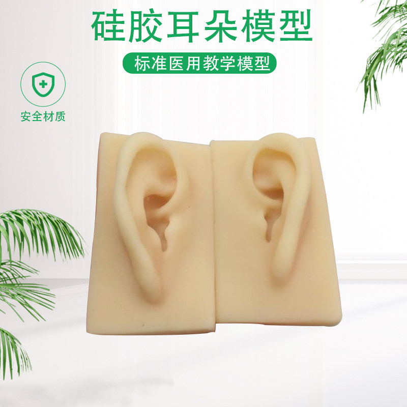 硅胶耳朵模型 软TPR耳朵模型 厂家供应仿真人耳 助听展示道具