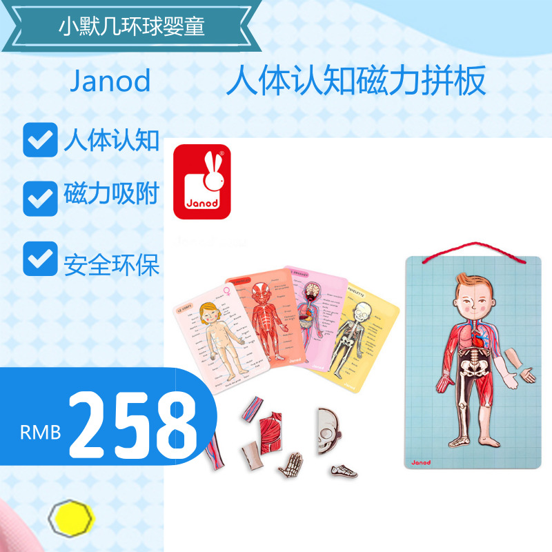 Big J small D recommends Janod Jiamu people body magnetic puzzle board body parts Cognitive Learning Puzzle Toys-Taobao