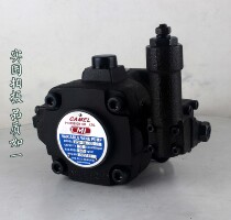 Taiwan CML Quanmao VCM-SM-30-A B-20 B-20 VCM-SM-30-C D-20 variable vane pump RFQ