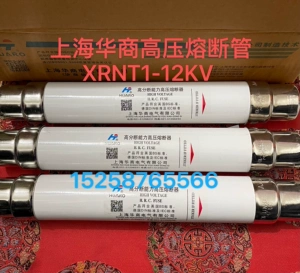 上海华商 Xrnt-12KV Высоковольтный ток предохранителей xrnt1-10kv 6,3a 10a 16a 40a