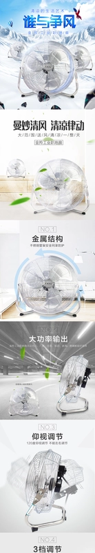 Quạt bàn Jinling quạt sàn quạt quạt kim loại 12 14 16 18 20 inch Quạt chụp ảnh TDO - Quạt điện