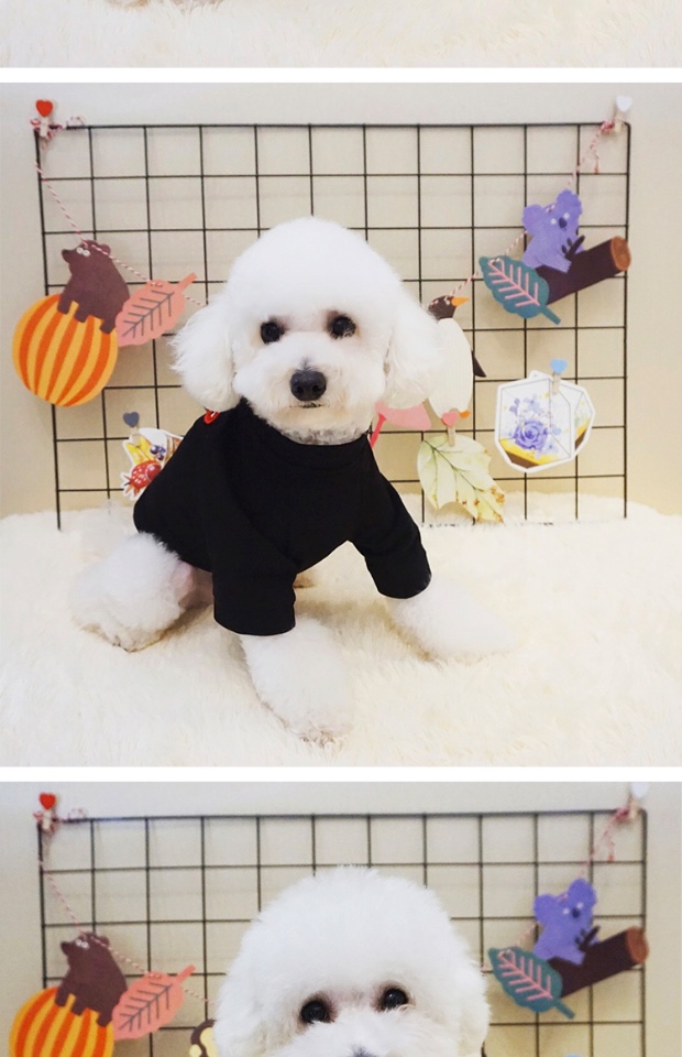 Bông mùa hè thương hiệu thú cưng chó mèo áo len chó quần áo mùa xuân và mùa hè trang phục chó con schnauzer quần áo chó nhỏ - Quần áo & phụ kiện thú cưng áo cho mèo