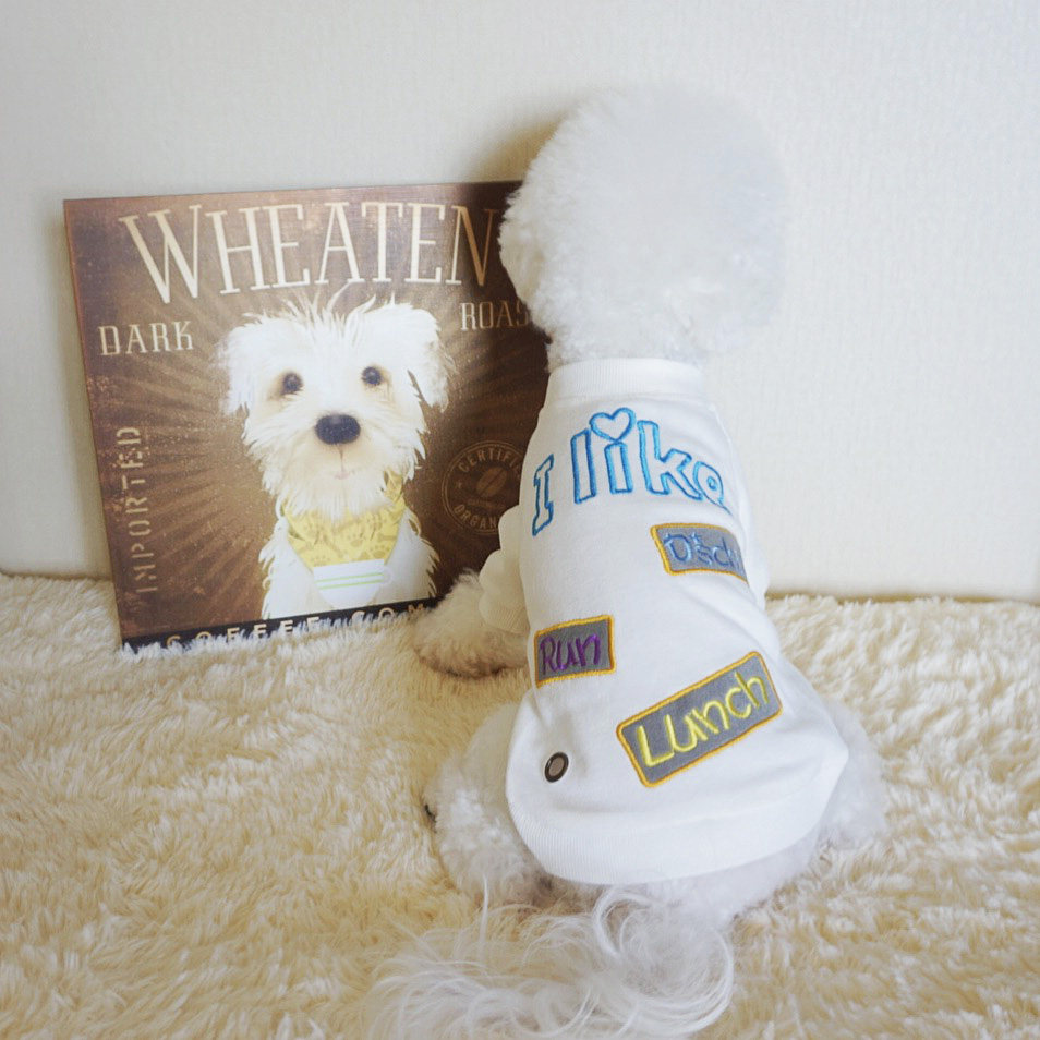 Autumn new cotton two-color Korean version pet sweater than bear teddy dog ​​small dog clothes autumn cat dog clothes