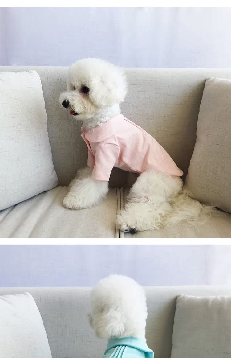 Mùa xuân và mùa thu thú cưng cotton hai màu ve áo nút áo len mèo quần áo chó nhỏ chó mùa thu và quần áo mùa đông - Quần áo & phụ kiện thú cưng quần áo thú cưng giá sỉ