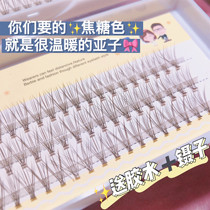 Graft import warm brown segmental false eyelash one cluster 10 root 0 07 coarse natural emulation ultra-soft eye lash