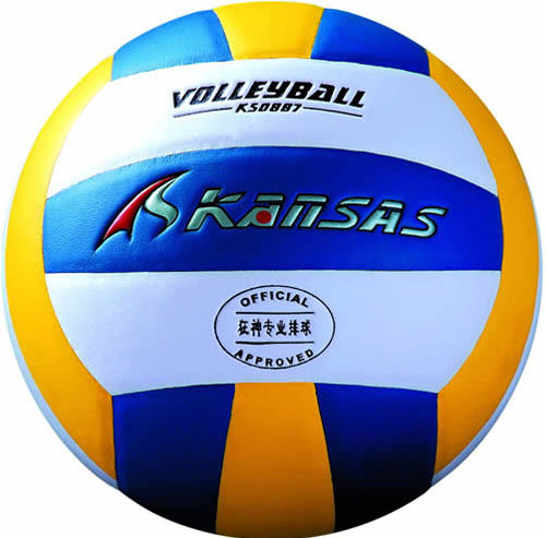 Ballon de volley - Ref 2015887 Image 3