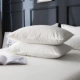 khỏa thân rửa sạch bông giường cotton mùa hè đơn giản gối màu 48 74cm bông gối gối một cặp nhịp 2 - Gối trường hợp