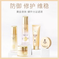 Eurowag gold snail vitriolic essence 5 pieces of suit finish cream soft skin lotion face cream with air cushion CC cream