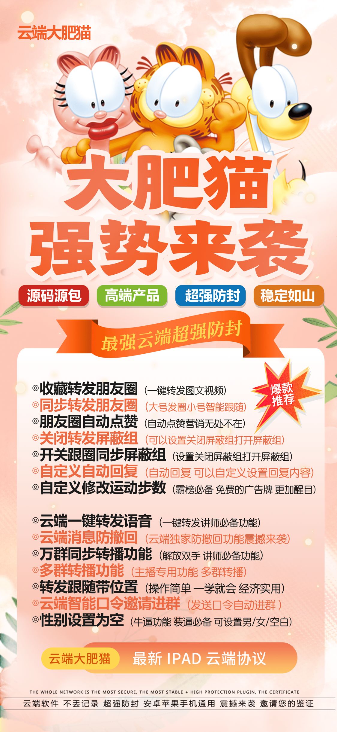 大肥猫.jpg