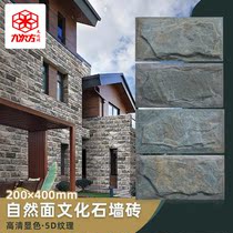 Cultural fossil exterior wall brick villa courtyard outdoor garden rock antique stone antique tile cultural brick 200x400 mushroom stone