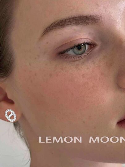 Commuting Equipment Ear Clips Without Piercings Super Flash Mini Pig Nostril Zircon Earrings Women's Niche Versatile Accessible Luxury Earrings