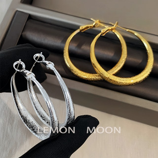 Classic Frosted Oval Earrings for Square and Round Faces, Vintage Niche High-End Versatile Stylish Hoop Earrings/Ear Clips