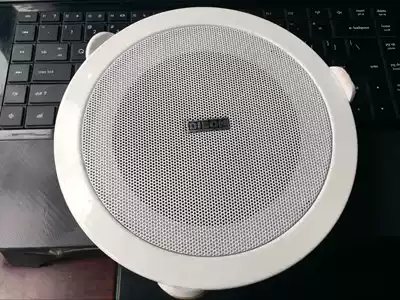 5-inch 6-inch ceiling horn ceiling horn background music Horn campus public address system