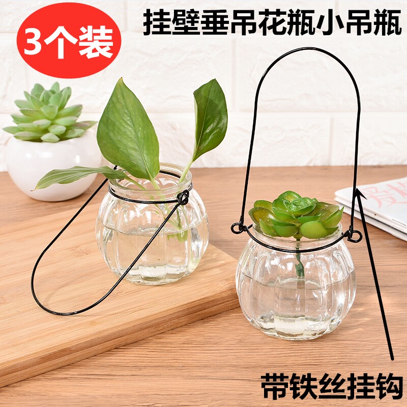 Wall hanging hanging glass vase simple small hanging bottle with wire hook hydroponic gold ge plant container flowerpot 3