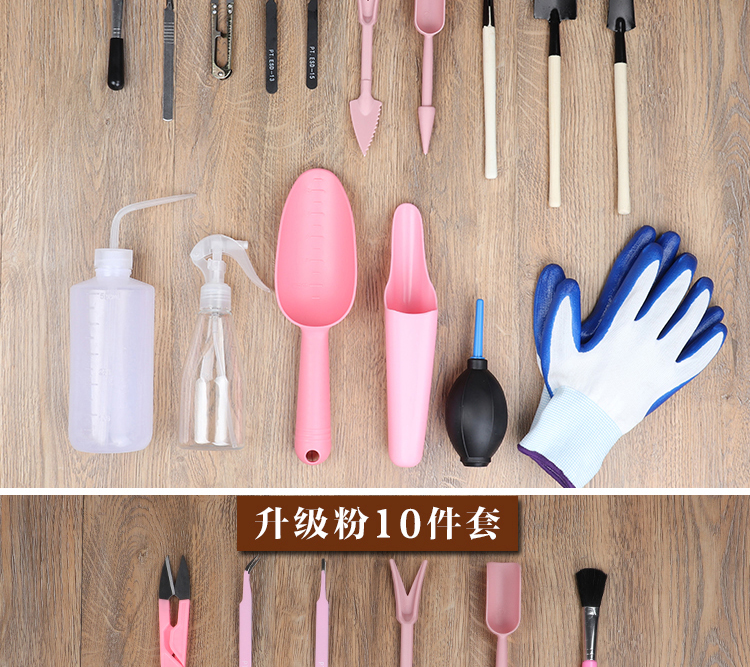 Multi-thịt công cụ thiết lập nhà thịt thực vật trồng hoa kết hợp nguồn cung cấp vườn chậu vận chuyển miễn phí vận chuyển chậu đất nung trồng cây