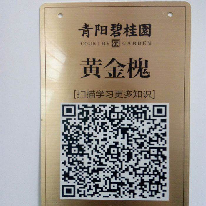Tùy chỉnh đục lỗ bằng kim loại chải bằng đồng hoa hồng thép không gỉ UV in mã QR - Thiết bị đóng gói / Dấu hiệu & Thiết bị