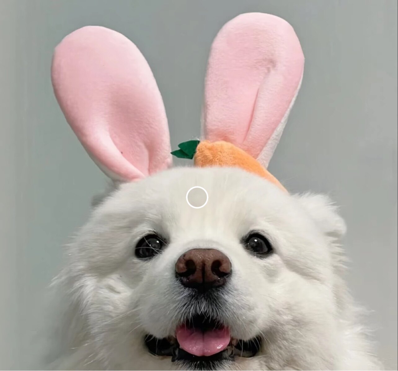 小琪的杂货铺的LOGO