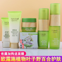 Olusch Plant Leaves Wild Lilies Soothing Bright Skin Suit Water Replenishing Cream Skin Water Tonic Cream Facial Cream Bottom