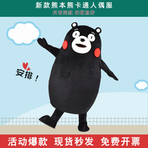 Kumamoto Bear Cartoon Doll costume custom cartoon costume doll uniform activity adult walking doll clothing black bear