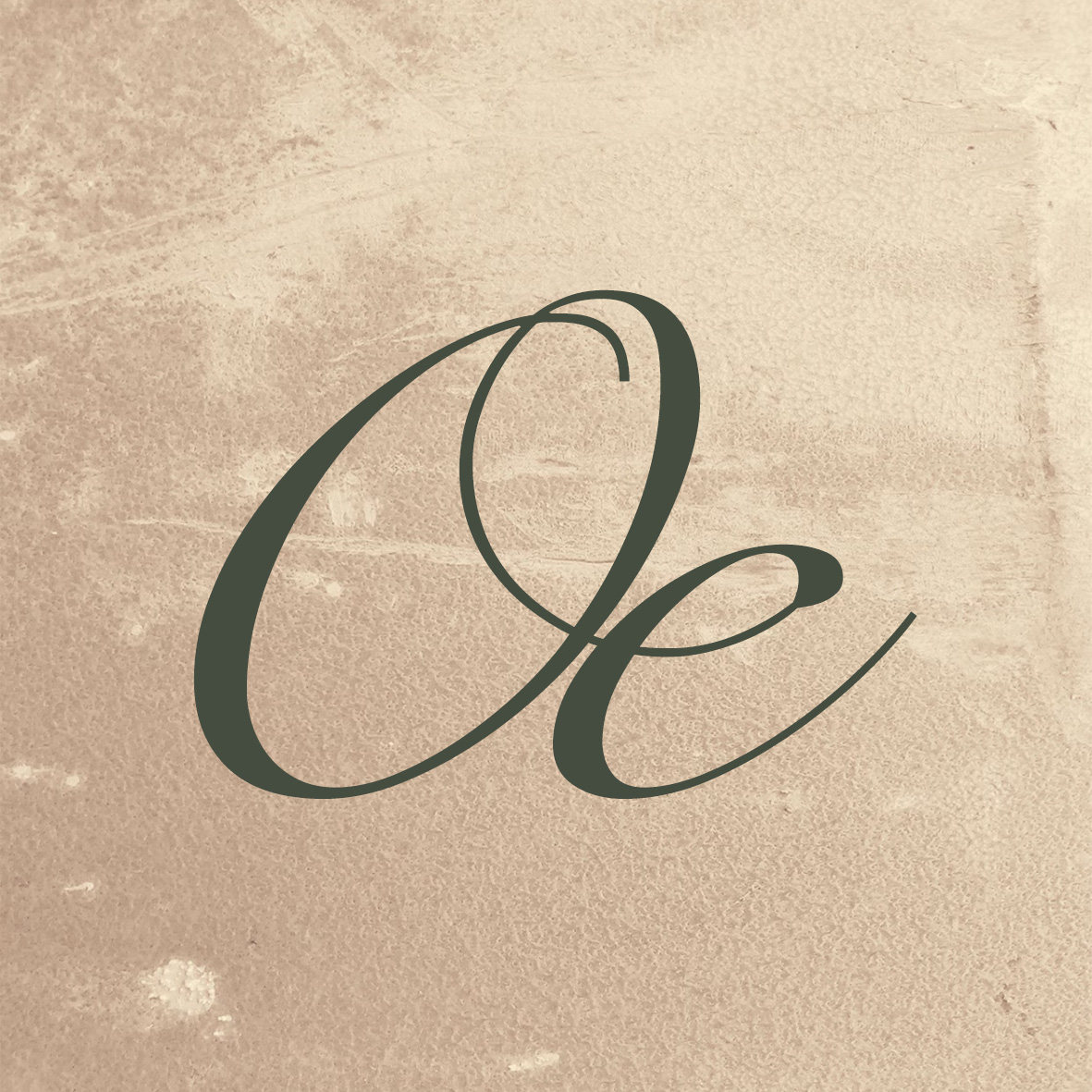 Or Co序禾的LOGO