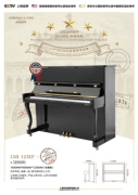Đàn piano Lindemann của Mỹ Đàn piano dọc 88 phím nhập khẩu mới LMI-123EP