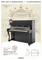 Đàn piano Lindemann của Mỹ Đàn piano dọc 88 phím nhập khẩu mới LMI-123EP yamaha clp 635