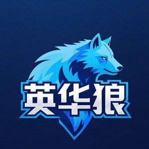 YinHuaLang英华狼外贸服饰