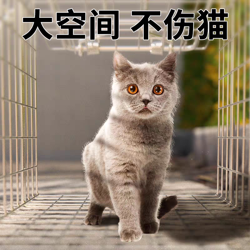 抓狗神器来袭！特大捕狗笼，自动捕狗神器，轻松搞定遛弯小麻烦！🐾-狗笼子-淘宝百科网
