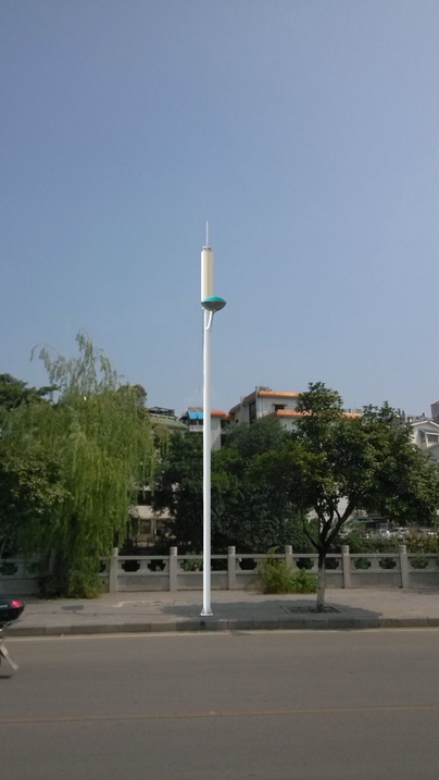 Light pole shape beautification antenna